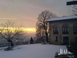 Galeriebild